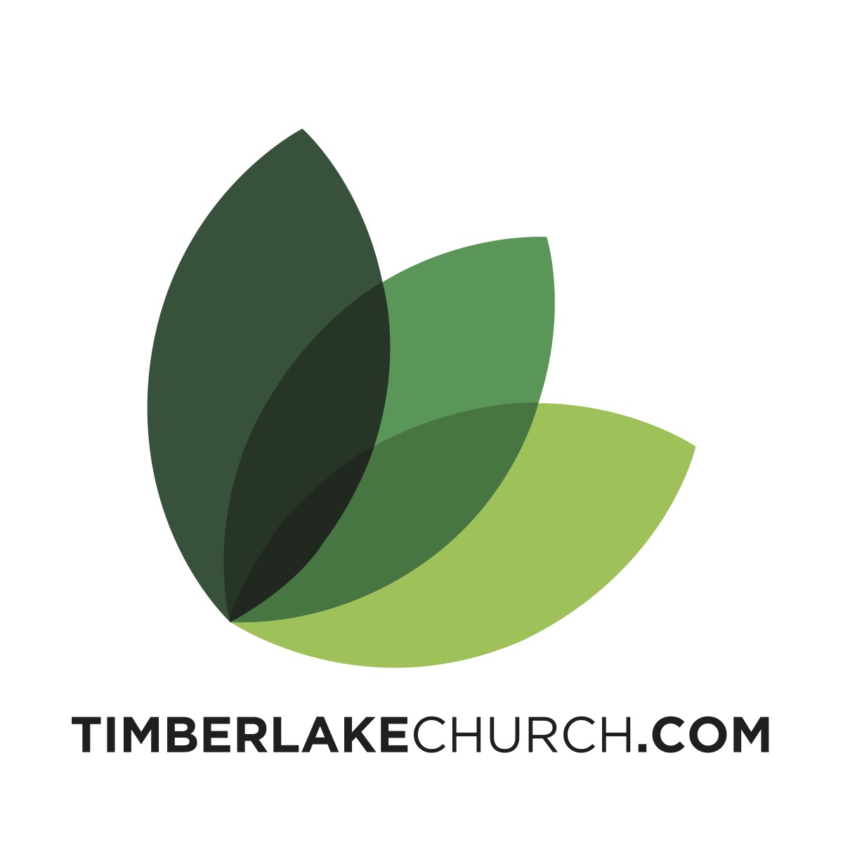 Church Jobs | Ministry Jobs | Pastor Jobs | Vanderbloemen Search Group