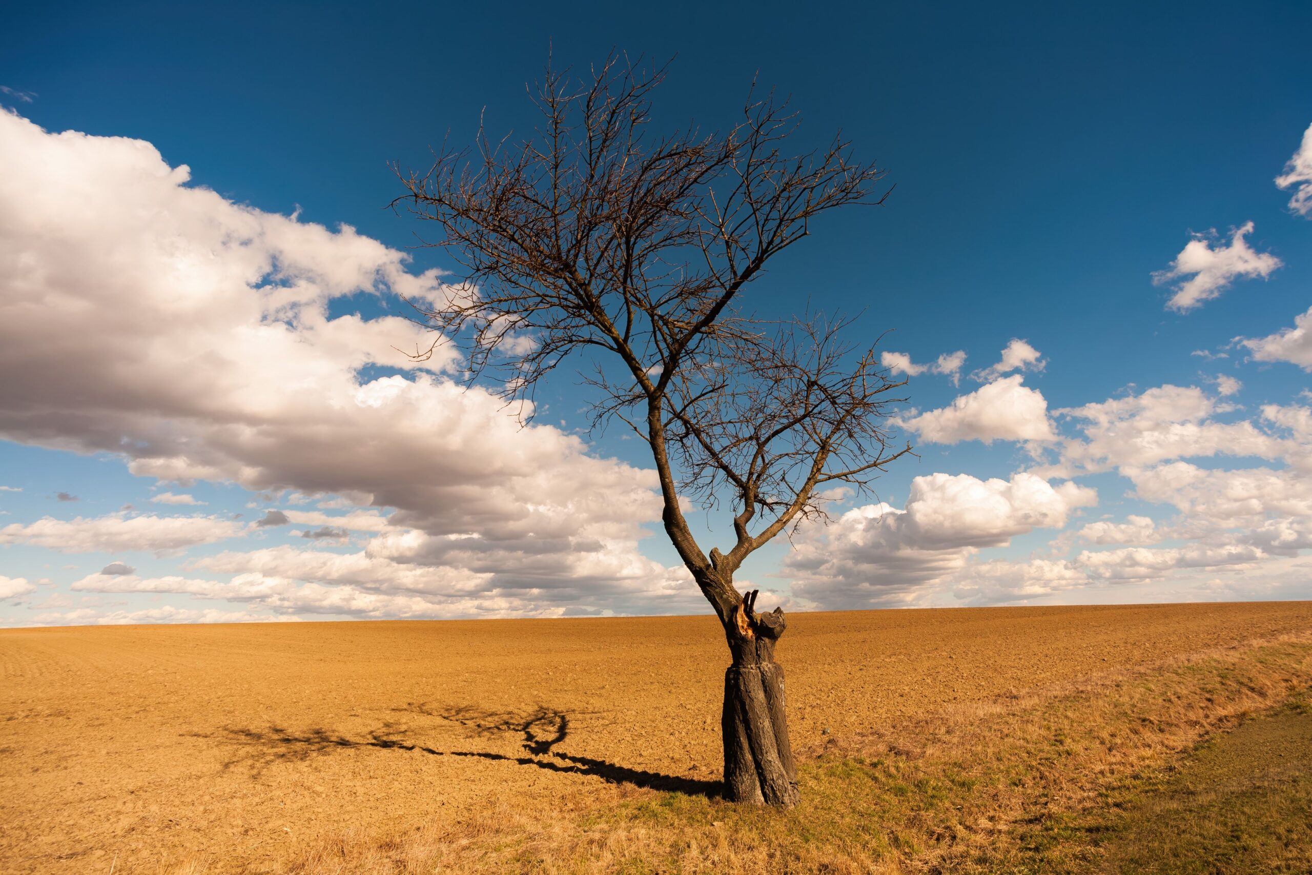 4 Signs Your Volunteers Are Getting Burned Out (And How to Fix It)